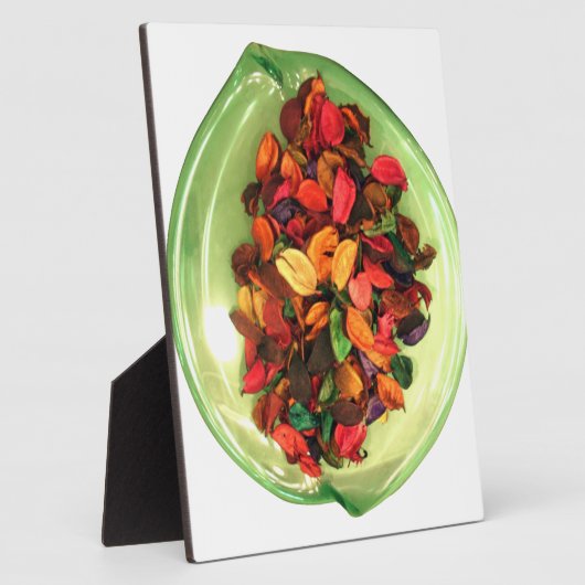 Prachtige, kleurrijke vormgeving van het roos fotoplaat (Zijkant)