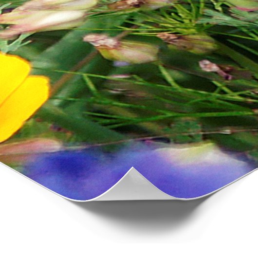 prachtige kleurrijke weide van wilde bloemen poster (Hoek)