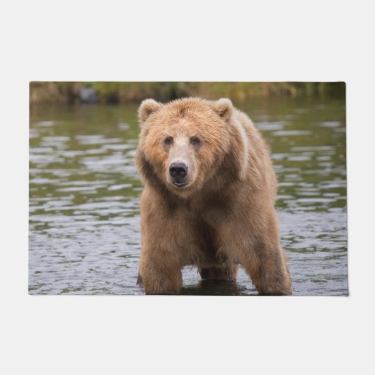 Prachtige kodiak-bruine beer deurmat (Voorkant)