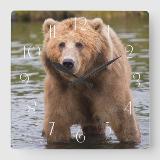 Prachtige kodiak-bruine beer vierkante klok (Voorkant)