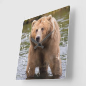 Prachtige kodiak-bruine beer vierkante klok (Hoek)