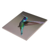 Prachtige kolibrie tijdens de vlucht tegeltje (Zijkant)