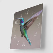 Prachtige kolibrie tijdens de vlucht vierkante klok (Hoek)