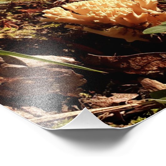 Prachtige koraalpaddenstoel foto afdruk (Hoek)