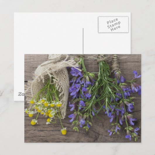 prachtige kruidenachtergrond briefkaart (Voorkant / Achterkant)