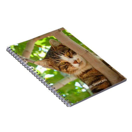 Prachtige ktische kat, speciaal Notitieboek (Rechterzijde)