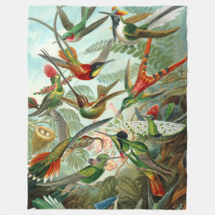 Prachtige kunst Hummingvogels van Ernst Haeckel Fleece Deken