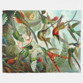 Prachtige kunst Hummingvogels van Ernst Haeckel Fleece Deken (Voorkant (Horizontaal))