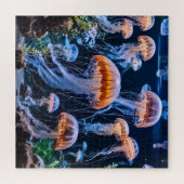 Prachtige kwal legpuzzel (Horizontaal)