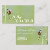 Prachtige ladybug met motivatie offerte visitekaartje (Voorkant / Achterkant)