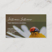 Prachtige ladybug met motivatie offerte visitekaartje (Achterkant)