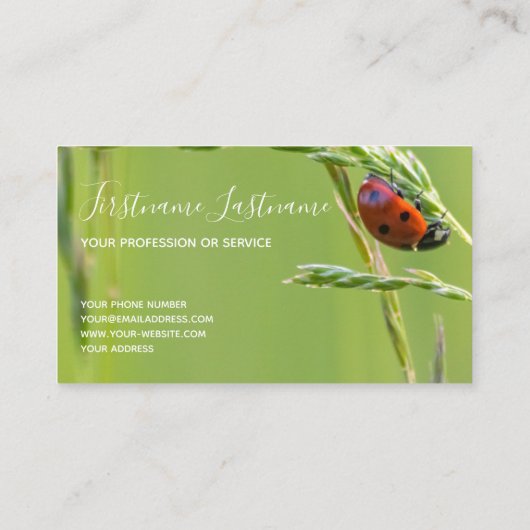 Prachtige ladybug met motivatie offerte visitekaartje (Achterkant)