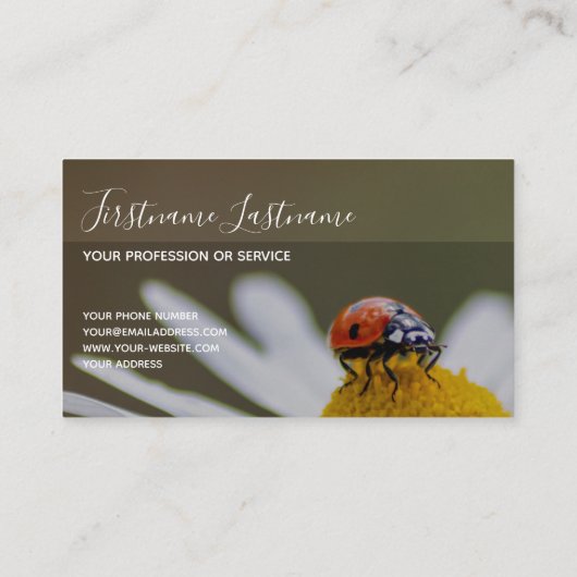 Prachtige ladybug met motivatie offerte visitekaartje (Achterkant)