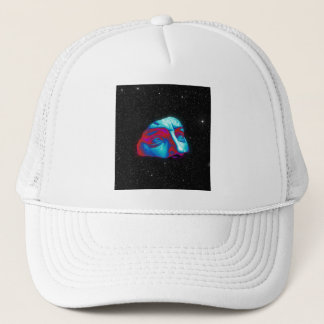 PRACHTIGE LAGEN TRUCKER PET