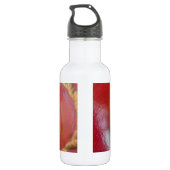 Prachtige  laire lederen cricket Balls.jp Waterfles (Achterkant)