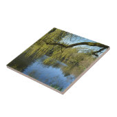 prachtige lenteswilg-bomen per watervijver. tegeltje (Zijkant)