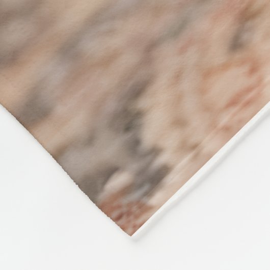 Prachtige Lhasa Apso Fleece Deken (Hoek)