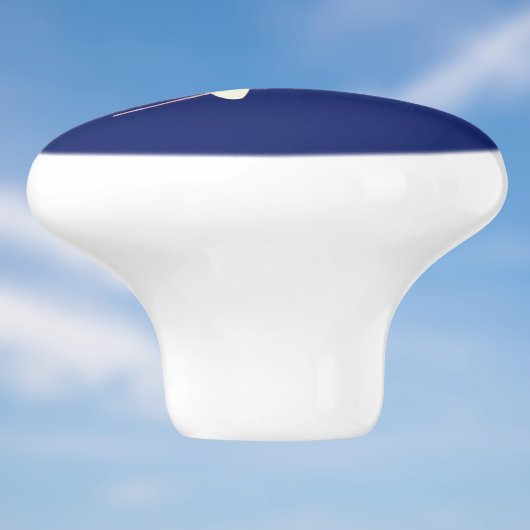 Prachtige libel op tak op donkerblauw keramische knop