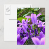 Prachtige Lila wilde bloemen Briefkaart (Voorkant / Achterkant)