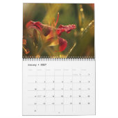 Prachtige Lily Photo Calendar Kalender (Jan 2027)