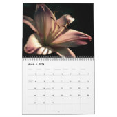 Prachtige Lily Photo Calendar Kalender (Mar 2026)