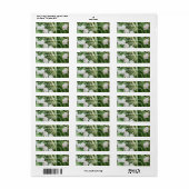 Prachtige Lily van de Vallei Etiket (Full Sheet)