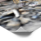 Prachtige Little Wood Mouse Poster (Hoek)