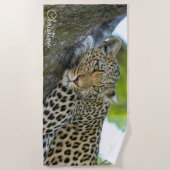 Prachtige luipaard in een boom Persoonlijk Strandlaken (Voorkant)