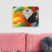 Prachtige Macaw Canvas Afdruk (Insitu (Woonkamer))