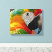 Prachtige Macaw Canvas Afdruk (Insitu (Houten vloer))