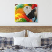 Prachtige Macaw Canvas Afdruk (Insitu (Slaapkamer))