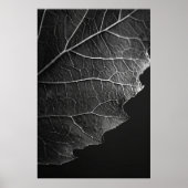 Prachtige macrofotografie van Nathan Wirth - Sluit Poster (Voorkant)