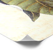 Prachtige Magnolia Blossom Antiek Collage Poster (Hoek)