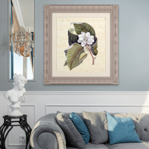 Prachtige Magnolia Blossom Antiek Collage Poster