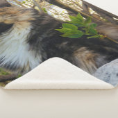 prachtige majestueuze kat kleurrijk sherpa deken (3/4)