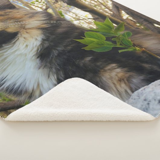 prachtige majestueuze kat kleurrijk sherpa deken (3/4)