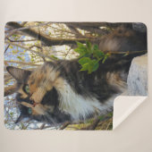 prachtige majestueuze kat kleurrijk sherpa deken (Voorkant (horizontaal))