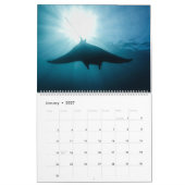 Prachtige Manta Rays Kalender (Jan 2027)