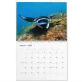 Prachtige Manta Rays Kalender (Mar 2027)