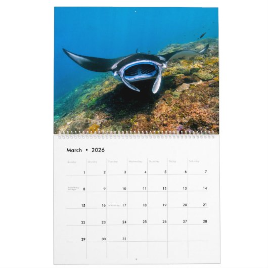Prachtige Manta Rays Kalender (Mar 2026)
