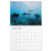 Prachtige Manta Rays Kalender (Feb 2026)