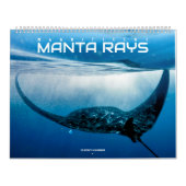 Prachtige Manta Rays Kalender (Hoes)