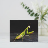 Prachtige mantis briefkaart (Staand voorkant)