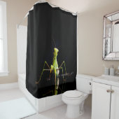 Prachtige mantis douchegordijn (In situ)