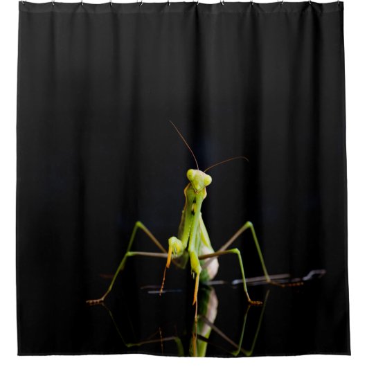 Prachtige mantis douchegordijn (Voorkant)