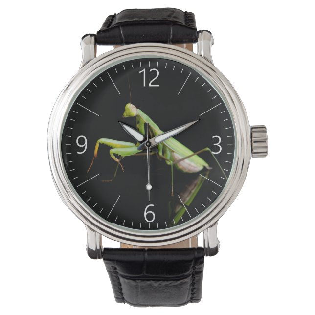 Prachtige mantis horloge (Voorkant)