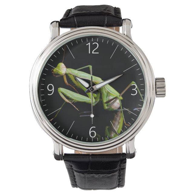 Prachtige mantis horloge (Voorkant)
