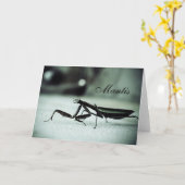 Prachtige mantis kaart (Gele Bloem)