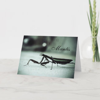 Prachtige mantis kaart
