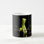 Prachtige mantis koffiemok (Center)